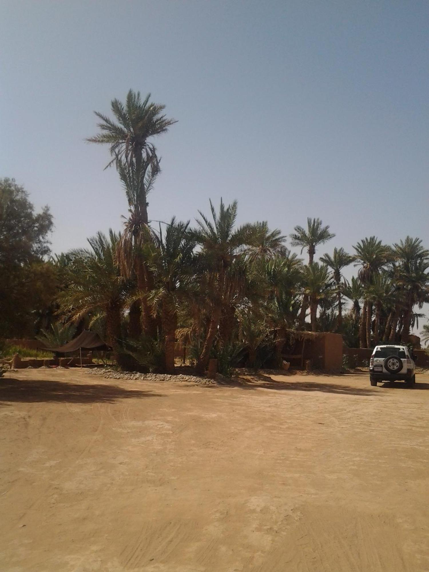 Kasbah Les Alizes Du Desert มามิด ภายนอก รูปภาพ