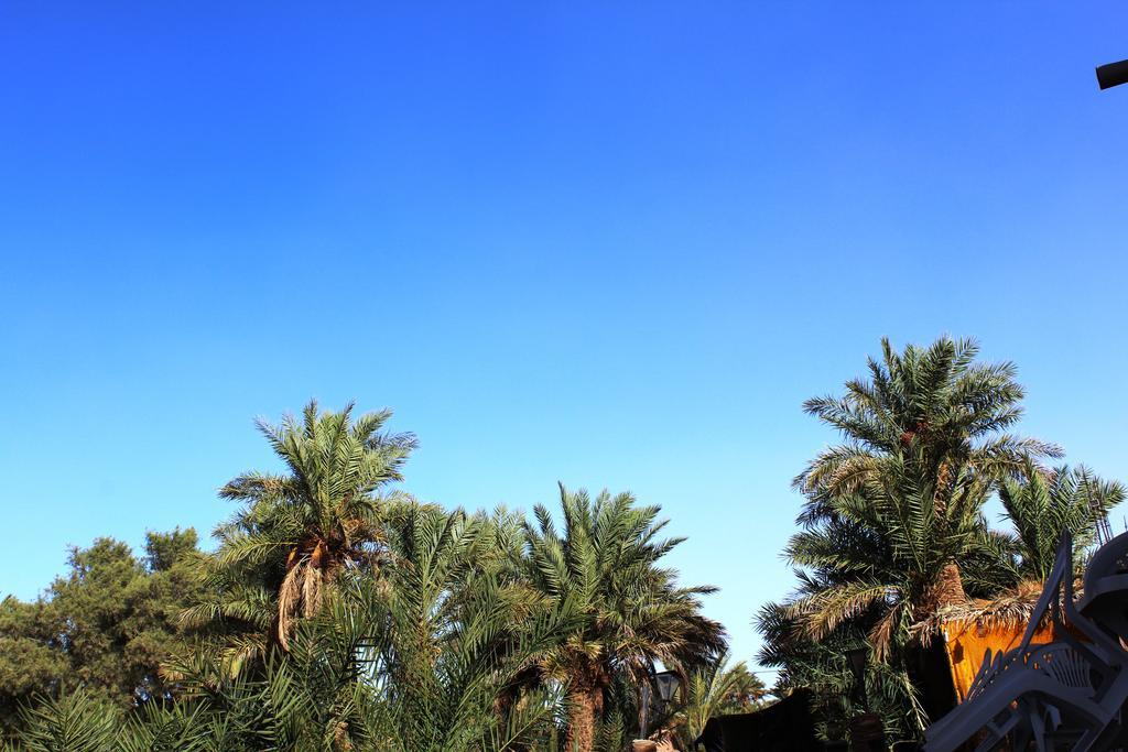 Kasbah Les Alizes Du Desert มามิด ภายนอก รูปภาพ
