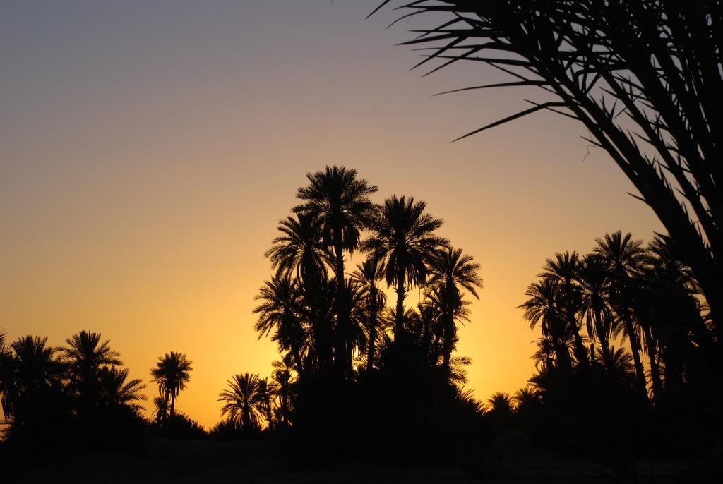 Kasbah Les Alizes Du Desert มามิด ภายนอก รูปภาพ