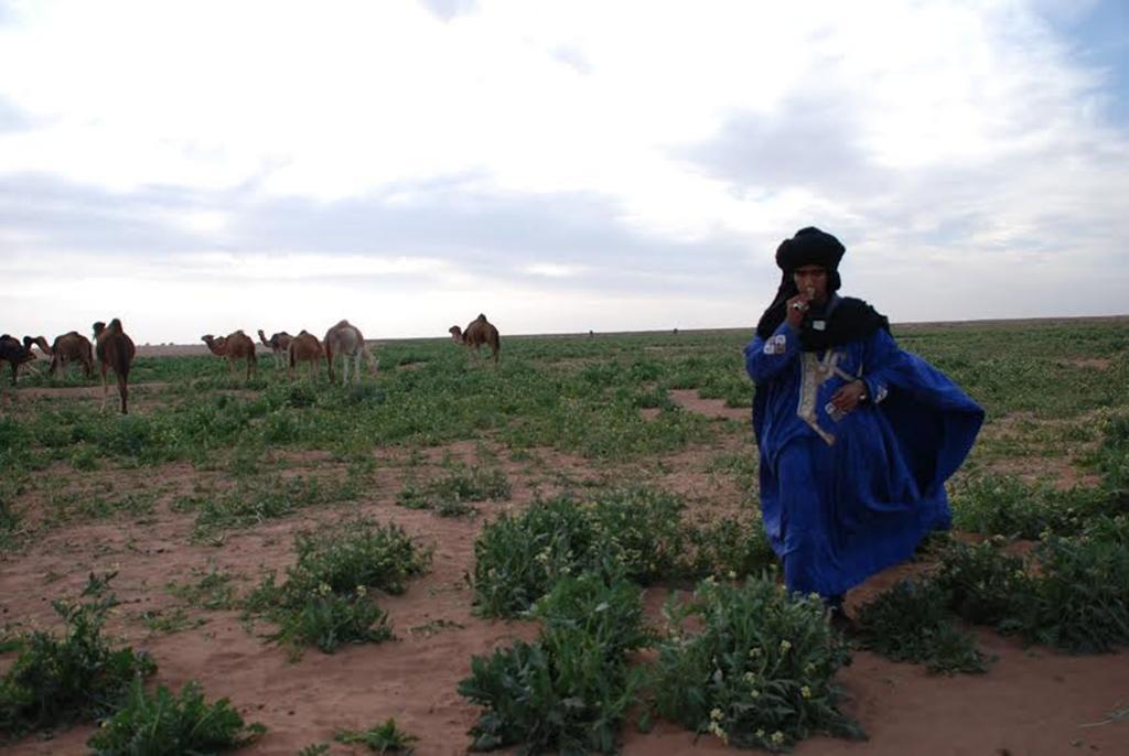 Kasbah Les Alizes Du Desert มามิด ภายนอก รูปภาพ