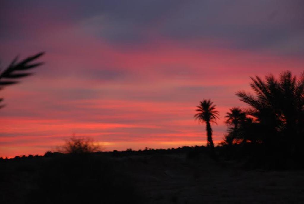 Kasbah Les Alizes Du Desert มามิด ภายนอก รูปภาพ