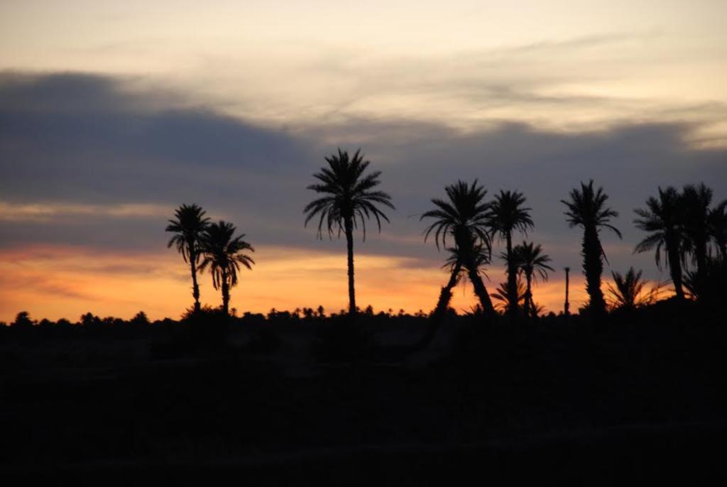 Kasbah Les Alizes Du Desert มามิด ภายนอก รูปภาพ
