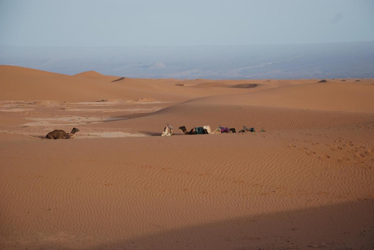 Kasbah Les Alizes Du Desert มามิด ภายนอก รูปภาพ